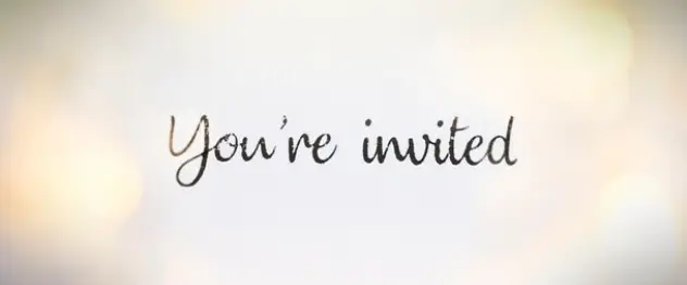 vent planning team reviewing contracts with wedding planner insurance safeguarding against professional errors